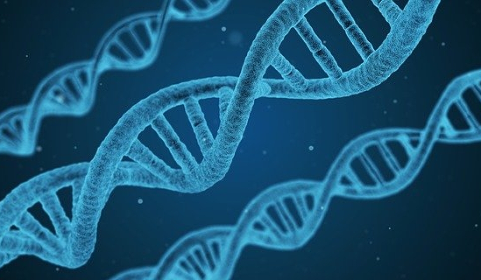 rare-disease