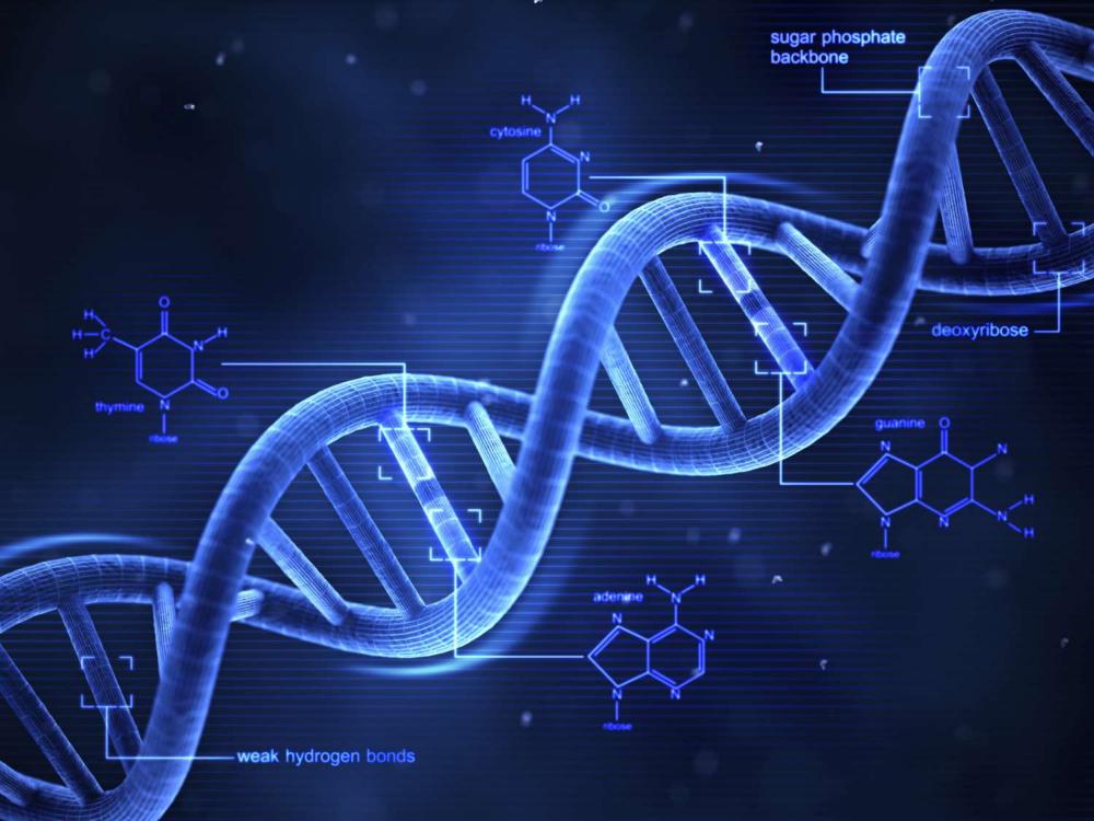 3-D_DNA-56a09ae45f9b58eba4b20266